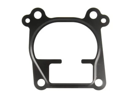 Прокладка корпуса колектора впускного Opel Astra G 2.0/2.2 DTI 99-05 743.970 ELRING 743-970