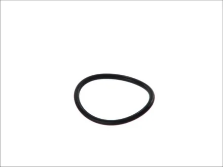 Прокладка термостата VW T4/T5 1.9/2.0 TD/TDI 90-09 761.109 ELRING 761-109