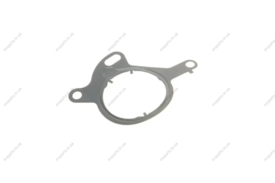 Прокладка насосу вакуумного Ford Transit Connect 1.6 EcoBoost 13- 767.120 ELRING 767-120 (фото 1)