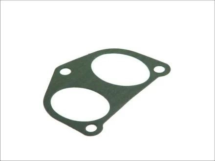 Прокладка колектора впускного Fiat Scudo/Peugeot Expert 1.9D (DW8) 773.810 ELRING 773-810