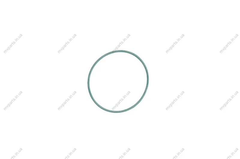 Прокладка насосу вакуумного Audi (53x57x2) 790.000 ELRING 790-000 (фото 1)