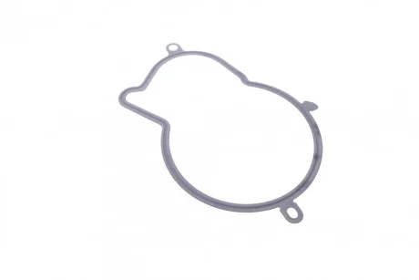 Прокладка ПНВТ Citroen Jumper/Peugeot Boxer 2.0/2.2 HDi 16- 793.480 ELRING 793-480