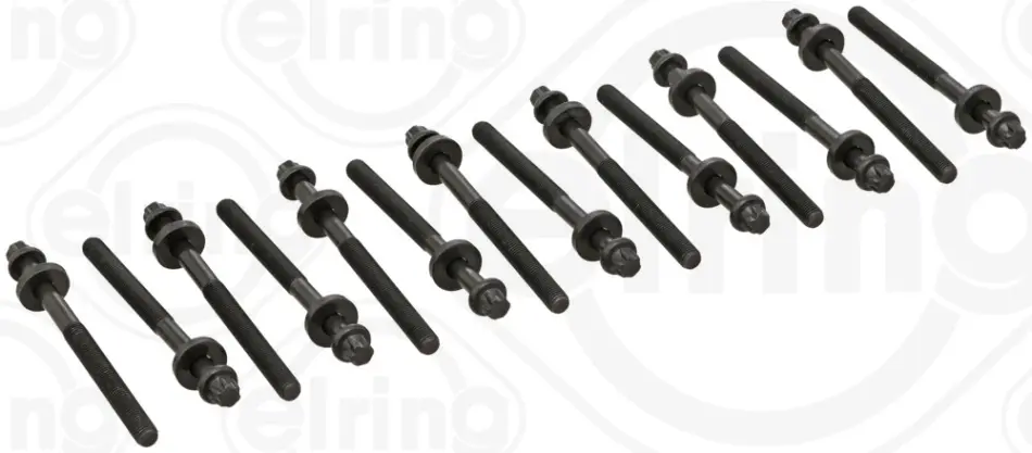 Комплект болтів головки цилідра BMW M51/M57 (вир-во Elring) ELRING 802-801 (фото 1)