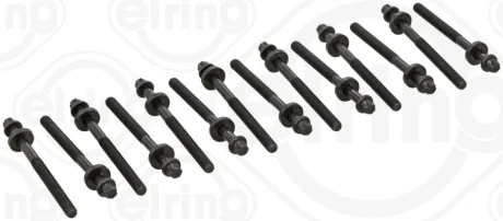Комплект болтів головки цилідра BMW M51/M57 (вир-во Elring) ELRING 802-801