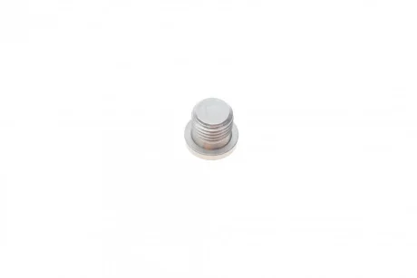 Болт зливу оливи VW T5 2.0 TSI 11-19 (M14x1.50x15) 858.040 ELRING 858-040