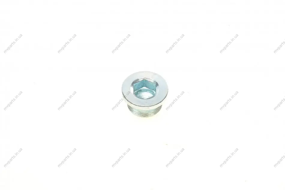Болт зливу оливи (АКПП) VW Caddy/Golf/Passat/Touran/Seat Leon/Toledo 1.0-2.0TSI/TFSI 05- (M24x1.5x) 872.020 ELRING 872-020 (фото 1)