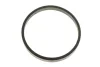Прокладка термостата BMW 3 (F30/F31/F34)/5 (G30/G31)/7 (G11/G12) 16- B58 D30 (кільце) B16.500 ELRING B16-500 (фото 1)