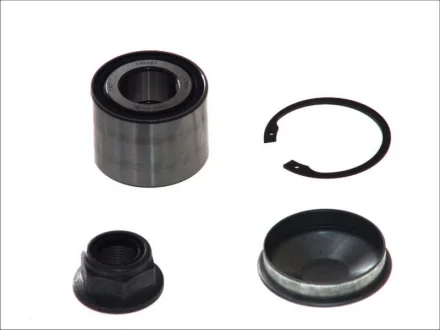 Підшипник маточини (задньої) Renault Megane/Clio 01- 713 6303 00 FAG 713-6303-00