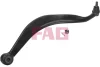 Важіль підвіски (задній/знизу) (R) Hyundai Santa Fe 01-06 821 0095 10 FAG 821-0095-10 (фото 1)