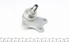 Опора кульова (передня/знизу/ззовні/R) Audi A2/Skoda Fabia/Roomster/VW Polo 99-10 825 0055 10 FAG 825-0055-10 (фото 4)