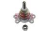 Опора кульова (передня) Isuzu Trooper/Opel Campo/Frontera 81-99 825 0125 10 FAG 825-0125-10 (фото 1)