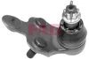 Опора кульова (передня/знизу/R) Lexus RX 06-08/Toyota Camry 01-06 825 0152 10 FAG 825-0152-10 (фото 1)