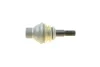 Опора кульова (передня/знизу) BMW 5 (G30/F90)/7 (G11/G12) 15- 825 0343 10 FAG 825-0343-10 (фото 3)