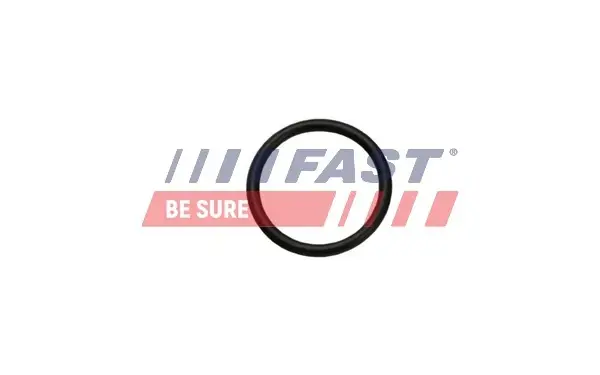 Прокладка системи охолодження ущільнююча Citroen Jumper/Fiat Ducato/Peugeot Boxer 06- FAST FT49926 (фото 1)