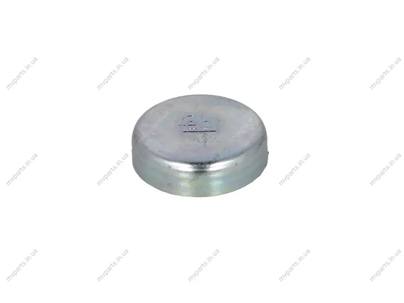 Заглушка блоку циліндрів DB/MB (d=34mm) FEBI BILSTEIN 02543 (фото 1)
