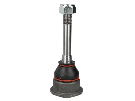 Опора кульова (передня/знизу/всередині) BMW 3 (E36)/Z3 (E36) 1.6i-3.2 90-03 FEBI BILSTEIN 03822