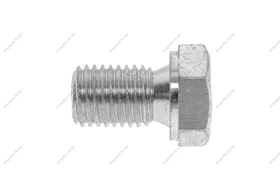 Болт зливу оливи BMW 3 (E20/E36/E39/E46)/5 (E60)/7 (E23/E32/E65)/8 (E31) -10 FEBI BILSTEIN 06564 (фото 1)