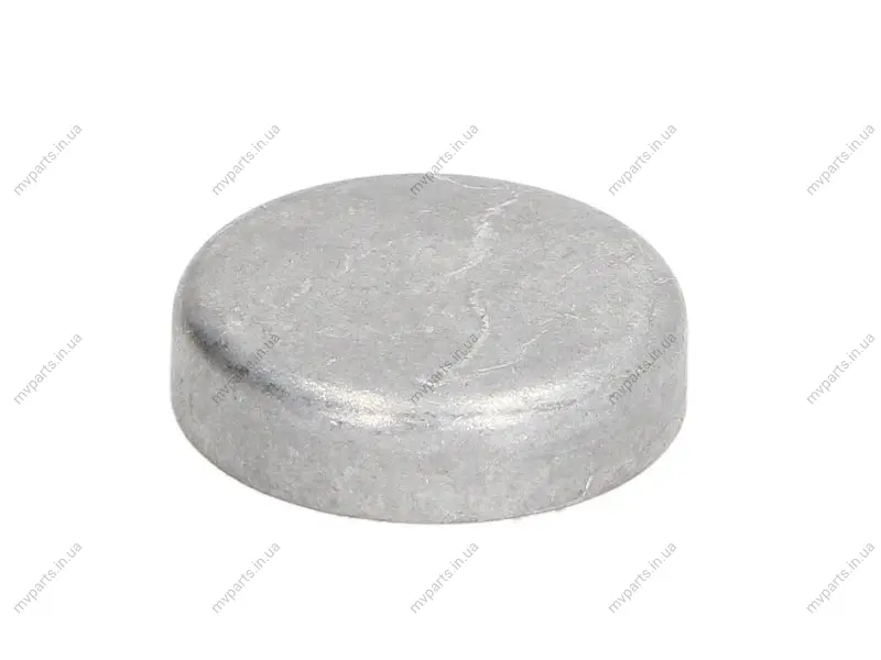 Заглушка блоку циліндрів VW (d=36.6mm) FEBI BILSTEIN 07284 (фото 1)