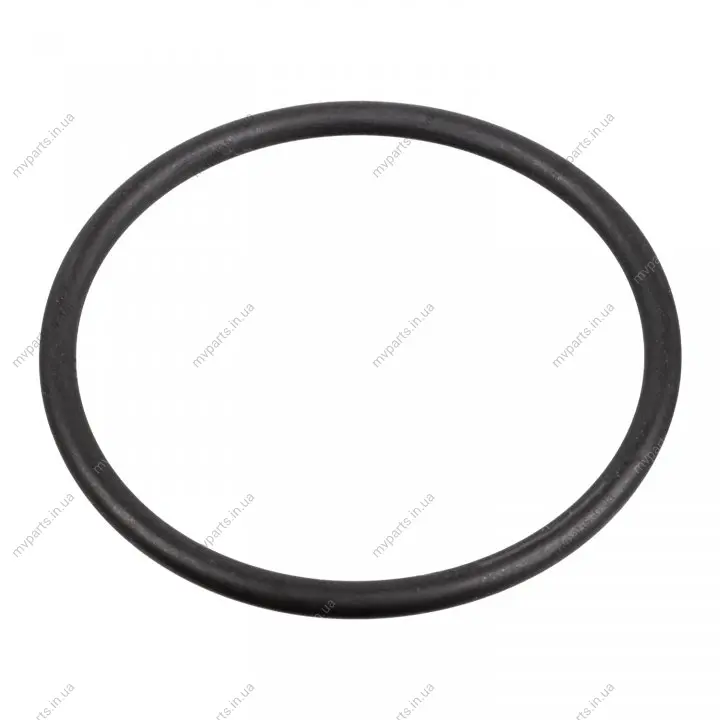 Прокладка насосу паливного Audi/VW/Ford/MB/Opel/Renault (31x2mm) FEBI BILSTEIN 172666 (фото 1)