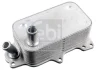Радіатор масляний Ford Transit 2.2/2.4 TDCI 06- (теплообмінник) FEBI BILSTEIN 174818 (фото 1)