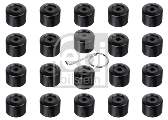 Комплект ковпачків болта колісного диска VW (+ гак для зняття) FEBI BILSTEIN 175230 (фото 1)