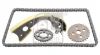 Комплект ланцюга ГРМ Audi A4/A6/A8/Q7/VW Touareg 2.7/3.0TDI 03-11 (ланцюг + елементи) (симплекс) FEBI BILSTEIN 179677 (фото 1)