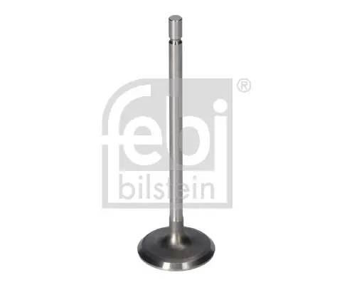 Клапан (впуск) Renault Kangoo 1.6 16V 01- (32.7x5.5x109.3) FEBI BILSTEIN 181077 (фото 1)