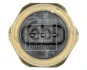 Датчик тиску оливи BMW X5 (E70)/X6 (E71/E72) 2.5-3.0i (N55/N54) 07- FEBI BILSTEIN 182656 (фото 2)