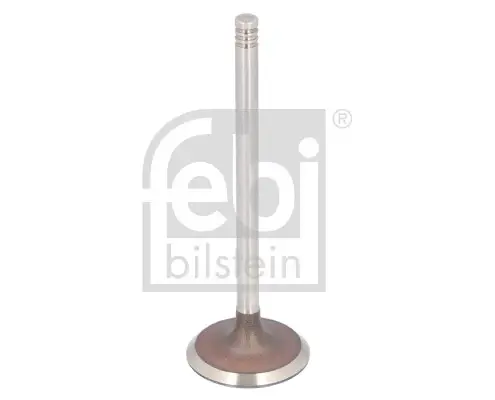 Клапан (впуск) Renault Kangoo 1.5dci 01- (33.45x5.98x101) FEBI BILSTEIN 183492 (фото 1)