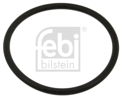 Прокладка термостата VW Golf/Jetta -92 FEBI BILSTEIN 18774