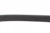 Ремінь генератора Audi A4/A6 2.4-2.6 94-04/BMW 3 (E46/E90/E92) 1.6-2.0 97-13/VW Polo 01-10 (6PK1873) FEBI BILSTEIN 28986 (фото 2)