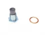 Болт зливу оливи + шайба Citroen BX/Peugeot 205/309/405 -96 (M16x1.5) FA1 153.520.011 Fischer Automotive One (FA1) 153-520-011 (фото 4)