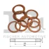 Шайба болта зливу оливи Citroen Berlingo/Peugeot Partner 1.6HDI/1.9D/2.0HDI 98-(10x20x2)(к-кт 100шт) FA1 746.520.100 Fischer Automotive One (FA1) 746-520-100 (фото 1)
