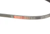 Ремінь генератора Mazda 3/6/CX-3/CX-5 2.0 11- (EPDM) GATES Gates 3PK798SF (фото 5)