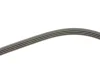 Ремінь генератора Renault Clio 1.2/1.4 90-98/Nissan Micra/Note 1.0-1.4 03-12 GATES Gates 4PK1070 (фото 3)