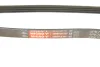 Ремінь генератора Ford Focus III 2.0 11- GATES Gates 4PK705SF (фото 5)