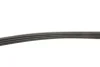 Ремінь генератора Fiat Bravo/Hyundai Getz 1.1-1.4 92-09 GATES Gates 4PK750 (фото 3)