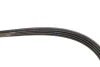 Ремінь генератора Fiat Sedici/Honda Civic/Kia Pride/Opel Omega B 1.6-4.4 88-14 GATES Gates 4PK803 (фото 4)