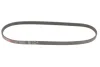 Ремінь генератора Mazda 323 1.3-1.8 -93/Hyundai Elantra 2.0 00-06/Toyota Camry 3.0 96-06 GATES Gates 4PK878 (фото 4)