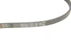 Ремінь генератора BMW 3 (E46)/Kia Rio 00-05 GATES Gates 4PK970 (фото 4)