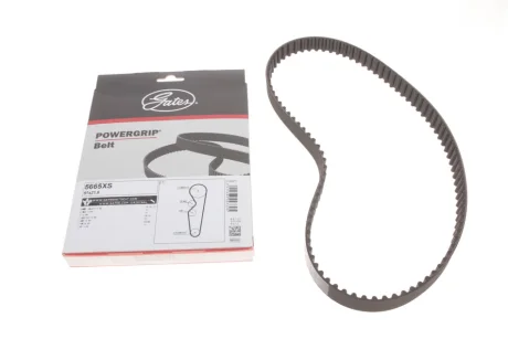 Ремінь ГРМ Chery Bonus 3/E5/Elara/Zaz Vida 1.5 06- (21.6x97z) GATES Gates 5665XS