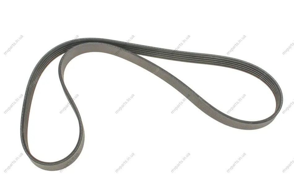 Ремінь генератора Ford Escort 1.8 D 90-00 GATES Gates 5PK1013 (фото 1)