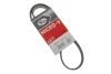 Ремінь генератора Ford Escort 1.8 D 90-00 GATES Gates 5PK1013 (фото 2)