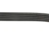 Ремінь генератора Ford Escort 1.8 D 90-00 GATES Gates 5PK1013 (фото 4)