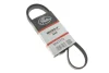 Ремінь генератора Land Rover Range Rover Sport 5.0 09-13 GATES Gates 5PK1173 (фото 2)