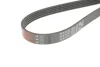Ремінь генератора Land Rover Range Rover Sport 5.0 09-13 GATES Gates 5PK1173 (фото 3)