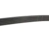 Ремінь генератора Land Rover Range Rover Sport 5.0 09-13 GATES Gates 5PK1173 (фото 4)