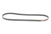Ремінь генератора Alfa Romeo Giulietta/Chevrolet Malibu/Jeep Renegade 1.4/2.4 99- GATES Gates 5PK1215 (фото 2)
