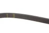 Ремінь генератора Peugeot Partner 1.4-1.6 16V 96-15/ Toyota Avensis/ Corolla2.0 D-4D 03-09 GATES Gates 5PK1255 (фото 3)
