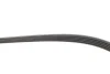 Ремінь генератора Opel Astra/Corsa 1.0/1.2/1.4 00- GATES Gates 5PK1355 (фото 3)